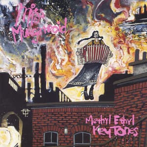 Methyl Ethyl Key Tones - Miss Murgatroid