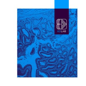 Harmonic Drift - 8D Lab - Relaxing Music