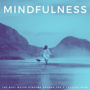 Mindfulness: The Best Water Streams Sounds For A Focused Mind - Organic Nature Sounds