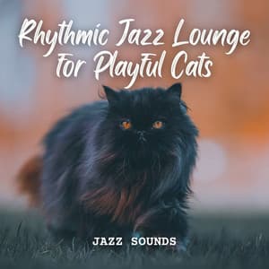 Jazz Sounds: Rhythmic Jazz Lounge for Playful Cats - Smooth Jazz Chill Out Playlist