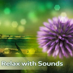 Relax with Sounds - Relaxing Sounds, Rest of Nature, Help Nature, Bird Singing, Feeling of Spring - Relaxing Sounds Of Nature