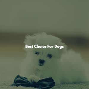 Best Choice For Dogs - Musik zum Lesen