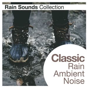 Classic Rain Ambient Noise - Rain Sounds Collection