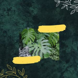 Music for Recharging Moods - Trumpet and Alto Sax - Night Time Jazz Moods