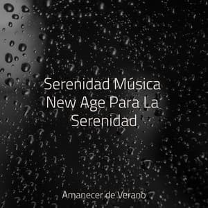 Serenidad Música New Age Para La Serenidad - Sonido de lluvia