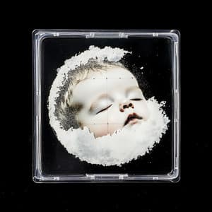 Paz con las Mascotas - Vibraciones Tranquilas