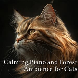 Calming Piano And Forest Ambience For Cats - Cat & Calm