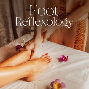 Foot Reflexology: Thai Foot Peaceful Massage Music - Massage Therapy Guru