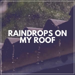 Raindrops on My Roof - Stormy Station