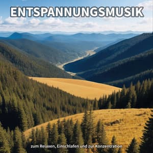 Entspannungsmusik zum Relaxen, Einschlafen und zur Konzentration - Entspannungsmusik
