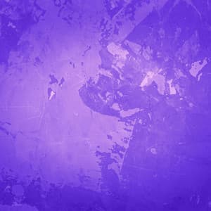 Backdrop for High-Class Dinner - Latin Piano Jazz - New York City Jazz