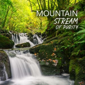 Mountain Stream of Purity: Calming Music of Nature for Harmonious Relaxation - Natural Balance Zone