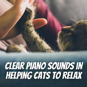 Clear Piano Sounds in Helping Cats to Relax - Piano for cats