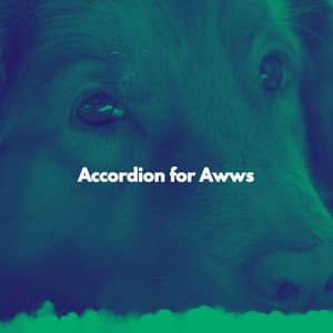 Accordion for Awws - Dog Sleeping Soundtracks Deluxe