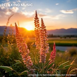 Relaxing Music to Calm Down, for Night Sleep, Meditation, Next-Door Noise 2 - Yoga Musik