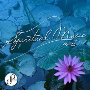 Spiritual Music, Vol . 22 - Spiritual Music