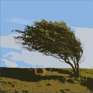 Soothing Winds and Rain for Background Sounds and White Noise - Buenas Noches Duerme