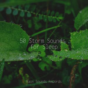 50 Storm Sounds for Sleep - Musica Romantica