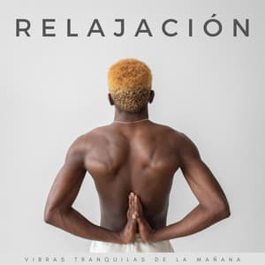 Relajación: Vibras Tranquilas De La Mañana - Música para Desayuno Música De Fondo