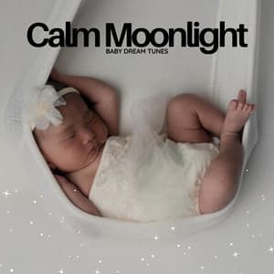 Calm Moonlight: Baby Lullabies - Baby Dream Tunes