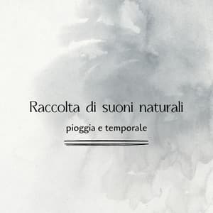 Raccolta di suoni naturali – pioggia e temporale - Pioggia Giardino