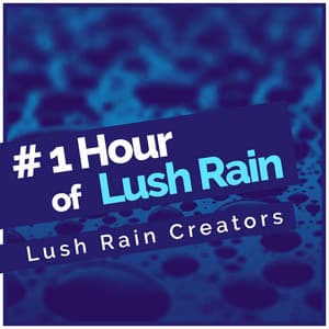 # 1 Hour of Lush Rain - Lush Rain Creators