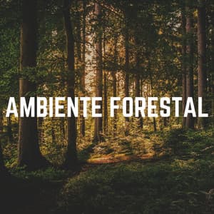 Ambiente Forestal - Sonidos de la Naturaleza para Dormir