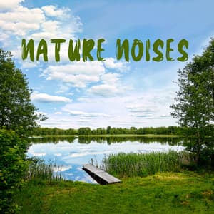 Nature Noises: Positive Well-Being and a Peaceful State of Mind - Odyssey for Relax Music Universe