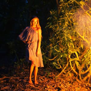 Ignite the Soul: Songs of Inner Fire - Celestial Flames Fire Sounds