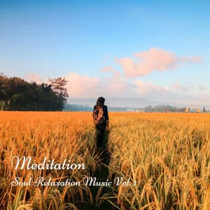 Meditation: Soul Relaxation Music Vol. 1 - Relaxing Music