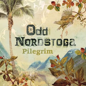 Pilegrim - Odd Nordstoga