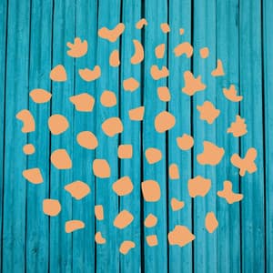 Music for Creative Spirits - Superlative Bossa Guitar Trio with Jazz Organ - Bossanova Playlist