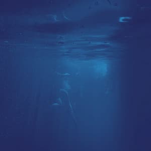 Nocturnal Tides: Water's Chill Serenades for Slumber - Sound Of The Woods