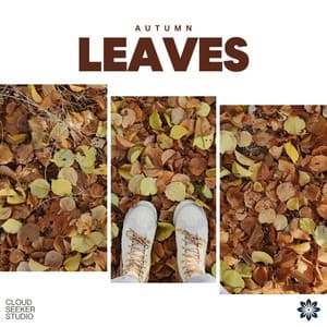 Autumn Leaves - Meditation Chakras