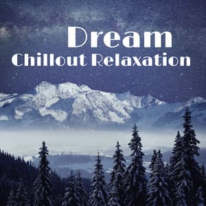 Dream Chillout Relaxation - Sleep Aid Club