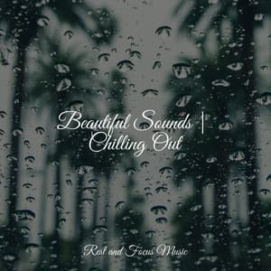 Beautiful Sounds | Chilling Out - Deep Focus