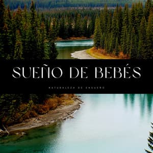 Sueño De Bebés: Naturaleza De Ensueño - Musica Para Dormir Bebes