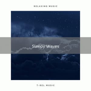 Sleepy Waves - Sea of Calmness