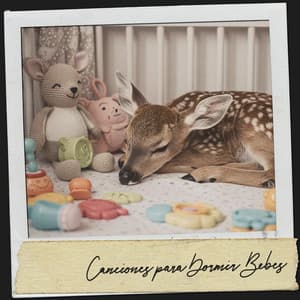 Canciones para Dormir Bebes: Sonidos y más para bebé - Cat Music Therapy