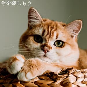 今を楽しもう - Cool Jazz Lounge