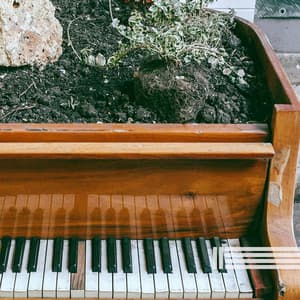 Piano Tranquility - Peaceful Piano Temple