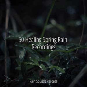 50 Healing Spring Rain Recordings - Weather Factory