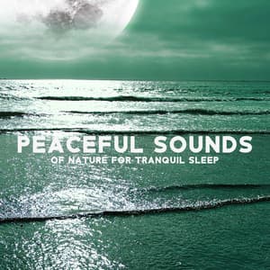 Peaceful Sounds of Nature for Tranquil Sleep: Fall Asleep Quickly, Insomnia Relief - Relaxation Zone