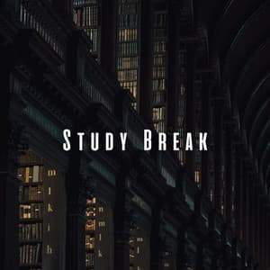 Study Break: Tranquil Chill Music for Relaxation - Ambient Music Collective