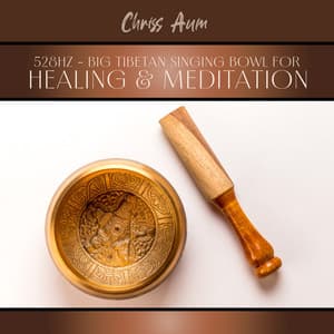 528Hz – Big Tibetan Singing Bowl for Healing & Meditation - Chriss Aum