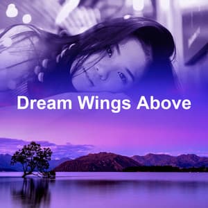 Dream Wings Above - Pure Massage Music