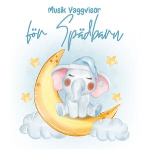 Musik Vaggvisor för Spädbarn - Lugnande zen musikzon