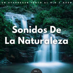 Sonidos De La Naturaleza: Un Atardecer Junto Al Río Y Aves Vol. 1 - Grabaciones de campo de la naturaleza