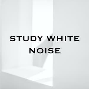 Study White Noise - Study White Noise