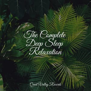 The Complete Deep Sleep Relaxation - Tibetan Singing Bowls for Relaxation